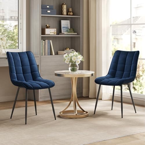 WOLTU Esszimmerstühle 2er Set, gepolstert mit Samt, für Wohn- und Esszimmer, Hochlastige Küchenstühle, Dunkelgrau