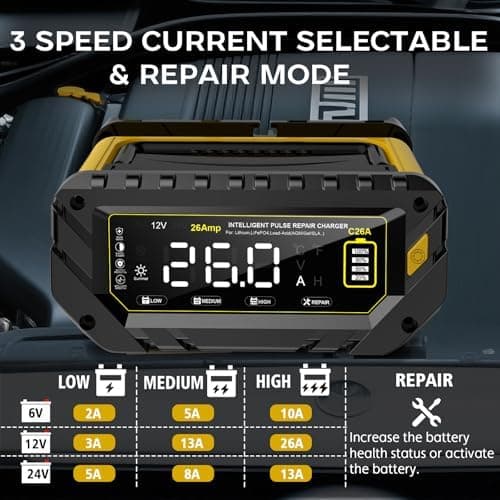Haisito 12V/24V 10A LiFePO4 ErhaltungsladegerätAuto mit LCD-Temperaturkompensation